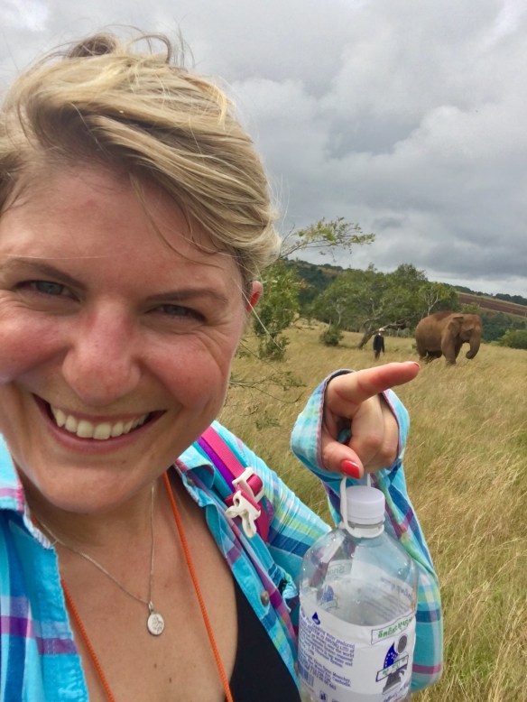 20161107_034810502_ios