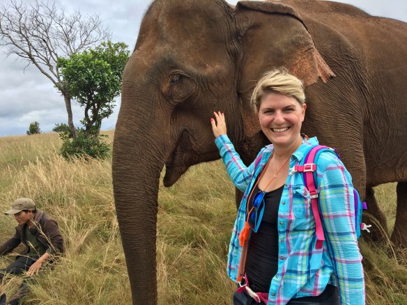 20161107_040346190_ios